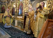 IMG_7023.JPG