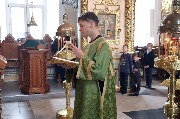 IMG_4466.JPG