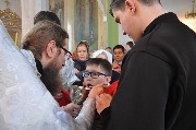 DSC_0100.JPG