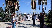 IMG_7905.jpg