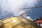 IMG_7991.jpg