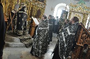 DSC_0495.JPG