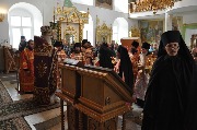 DSC_0130.JPG