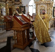 IMG_5051.JPG