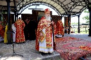IMG_5950.JPG