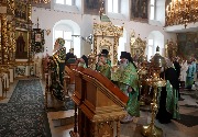 IMG_4571.JPG