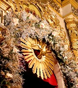 IMG_0296.JPG