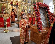 IMG_6795.JPG