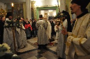DSC_0103.JPG