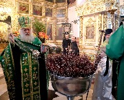 IMG_9658.JPG