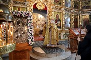 IMG_3549.JPG