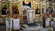 IMG_7801.jpg