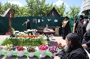 IMG_5160.JPG