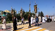 IMG_7948.jpg