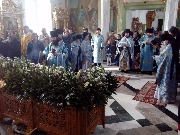 IMG_20170828_103046.jpg