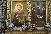 DSC_0510.JPG