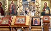 IMG_9299.1.jpg