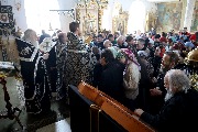 IMG_5033.JPG