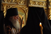 DSC_0712.JPG