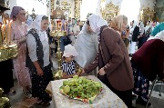 IMG_3480.JPG