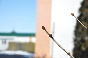 DSC_0067.JPG
