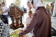 IMG_3513.JPG