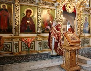 IMG_3102.JPG