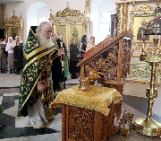 IMG_4552.JPG