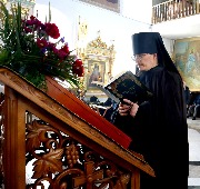 IMG_4723.jpg