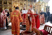 IMG_2812.JPG