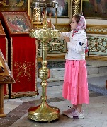 IMG_7529.JPG