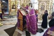 IMG_3328.JPG