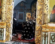 IMG_8267.jpg