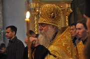 DSC_0423.JPG