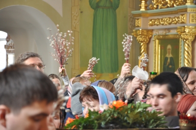 Праздник Входа Господня в Иерусалим в Свято-Троицком мужском монастыре г. Чебоксары.