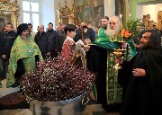 Освящение ваий