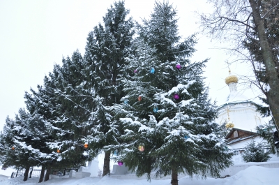 9 января 2016 года в субботу по Рождестве Христовым в Спасо-Преображенском женском монастыре г.Чебоксары.